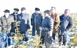 Сохраним и приумножим лес