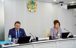 Депутаты рассмотрели вопросы использования бюджетных средства на освещение и декоративную подсветку