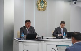 Очередная сессия: отчёт МИО по реализации проектов государственно-частного партнёрства