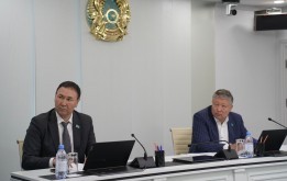 На заседании постоянной комиссии по вопросам социально-культурного развития депутаты обсудили результаты и перспективы реализации государственного спортивного и творческого заказа