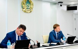 Депутаты рассмотрели вопросы благоустройства и озеленения столицы