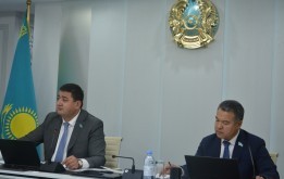 Мәслихаттың сыртқы жарнаманы орналастыру ережелерін бекіту туралы шешімінің орындалу барысы туралы