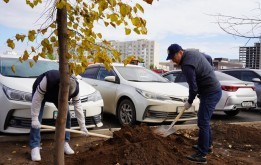 «Сарайшық» ауданында Жұмысшы мамандықтар аллеясы ашылды