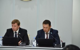 Әлеуметтік маңызы бар тауарларды субсидиялау