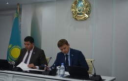 Көгалдандыруға және абаттандыруға бағытталған бюджеттік қаражатты пайдалану тиімділігі