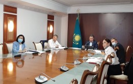 Елордада қаңғыбас иттер мен мысықтарды аулау және жою ережесі