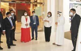 Социальное сотрудничество. Какие проекты готовы предложить ОАЭ?