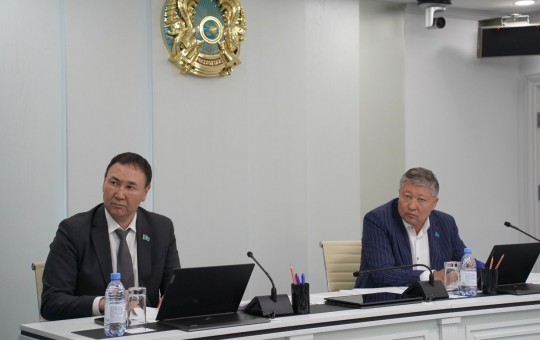 Әлеуметтік-мәдени даму мәселелері жөніндегі тұрақты комиссияның отырысында депутаттар мемлекеттік спорттық және шығармашылық тапсырысты іске асырудың нәтижелері мен перспективаларын талқылады