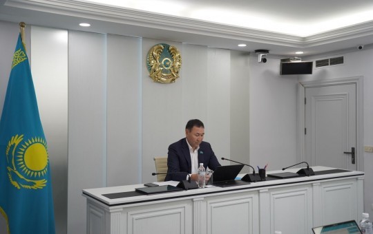 Жолдар мен көгалдандыруды цифрландыру мәселелері