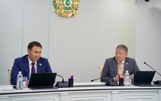 Депутат күні: елорда халқына жедел медициналық жәрдем берудің проблемалық мәселелері