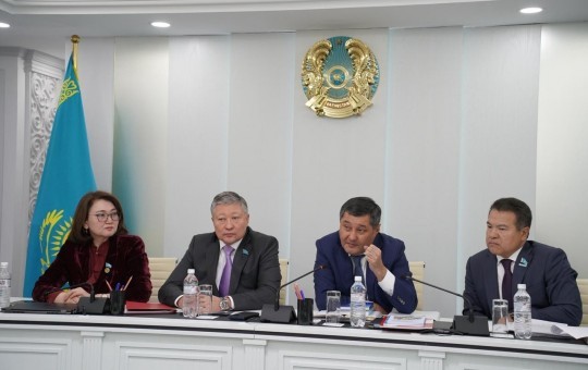 «Nazarbayev Universiti» магистранттарымен мәслихат депутаттарының кездесуі