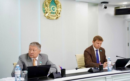 Нүктелі құрылыс, Бас жоспар мен Егжей-тегжейлі жоспарлау жобасының сақталуы мәселелері бойынша көпшілік тыңдаулар