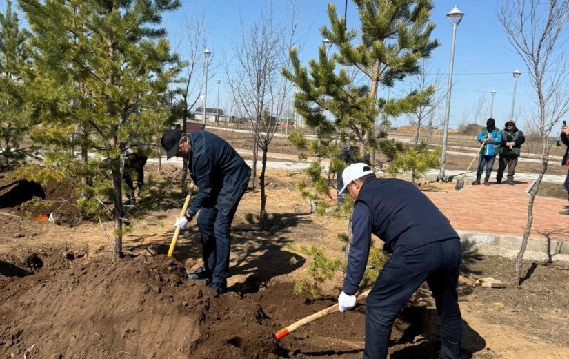Елорда мәслихатының депутаттары «Таза Қазақстан» жалпыұлттық экологиялық бастамасы аясында қаланы абаттандыру бойынша белсенді жұмыстар жүргізуде