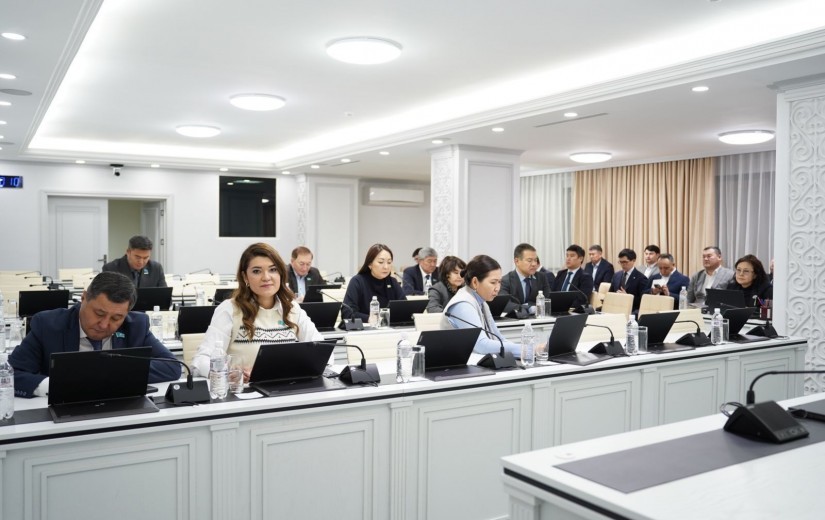 Депутаттар 2026-2028 жылдарға арналған қоршаған ортаны қорғау және табиғатты пайдалану саласындағы жобаларды қарастырды