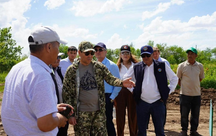 Мәслихат депутаттары «Астана-Зеленстрой» ЖШС-нің ағаш-бұта көшеттері питомнигіне барды