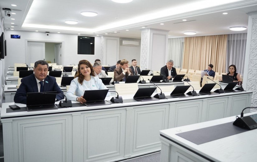 Зерттеу жобасының таныстырылымы Maqsut Narikbayev University