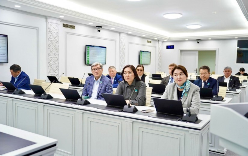 Заседание маслихата по вопросу оказания медицинских услуг