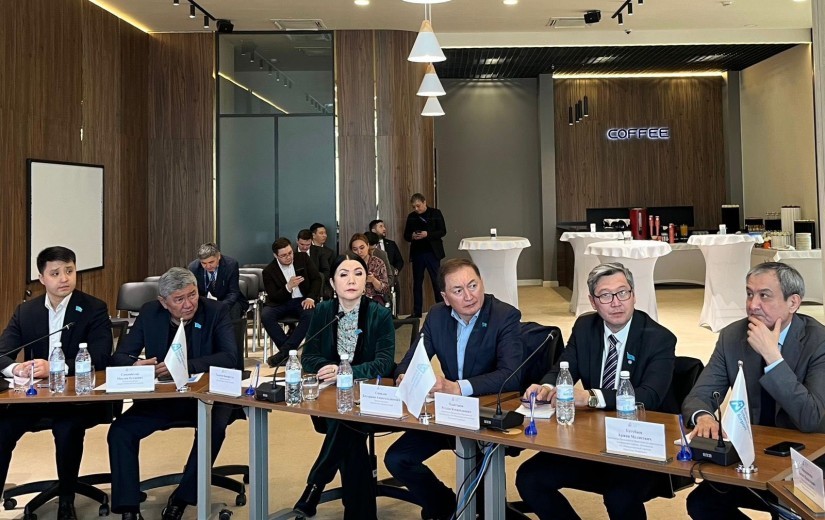 Развитие аэропорта столицы обсудили депутаты