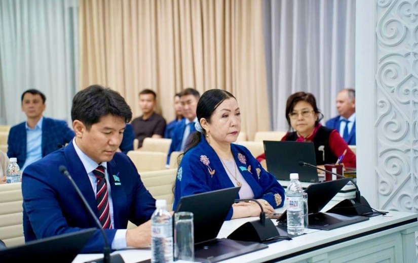 Тұрақты комиссияның тұрғынжайды реновациялау бағдарламасын бекіту сұрағы бойынша отырысы