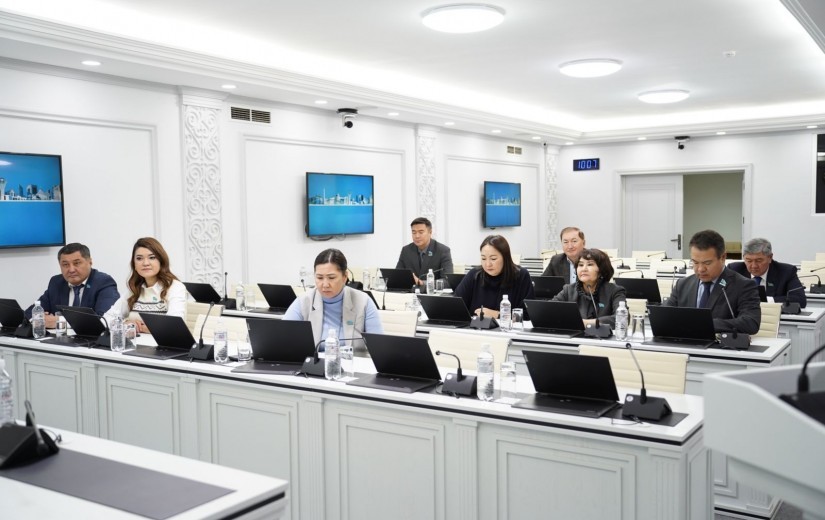 Депутаттар 2026-2028 жылдарға арналған қоршаған ортаны қорғау және табиғатты пайдалану саласындағы жобаларды қарастырды
