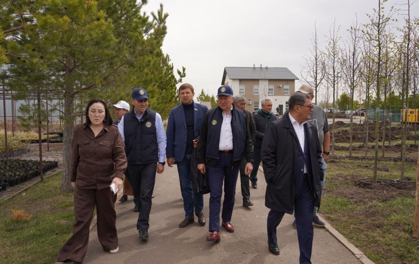 Депутаттар Жібек жолы кентіндегі сәндік өсімдіктер питомнигінің жұмысымен танысты