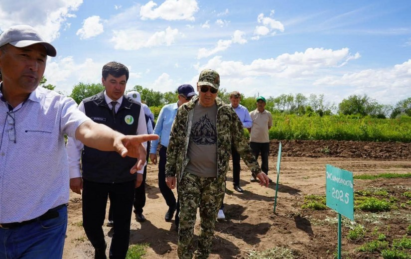Мәслихат депутаттары «Астана-Зеленстрой» ЖШС-нің ағаш-бұта көшеттері питомнигіне барды