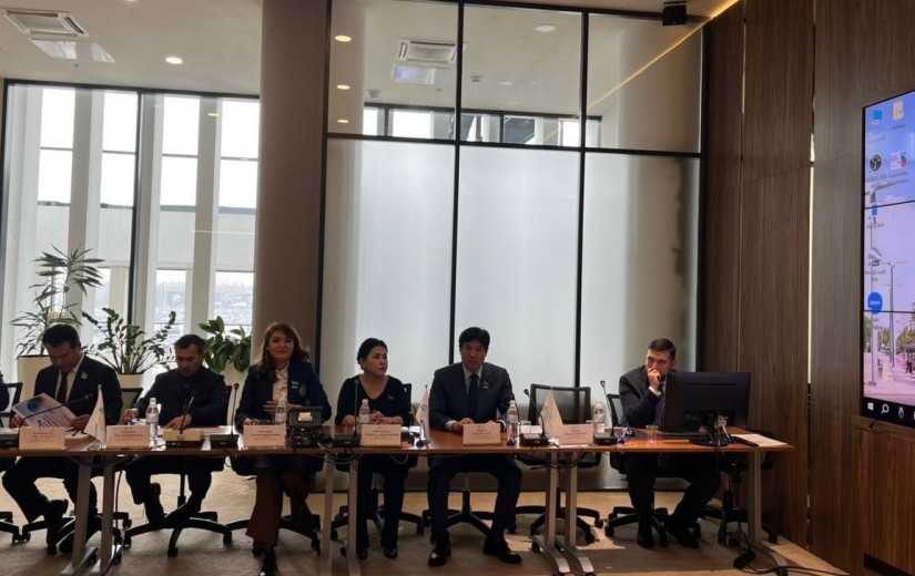 Развитие аэропорта столицы обсудили депутаты