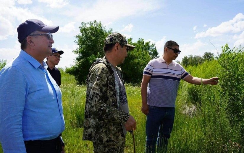 Мәслихат депутаттары «Астана-Зеленстрой» ЖШС-нің ағаш-бұта көшеттері питомнигіне барды