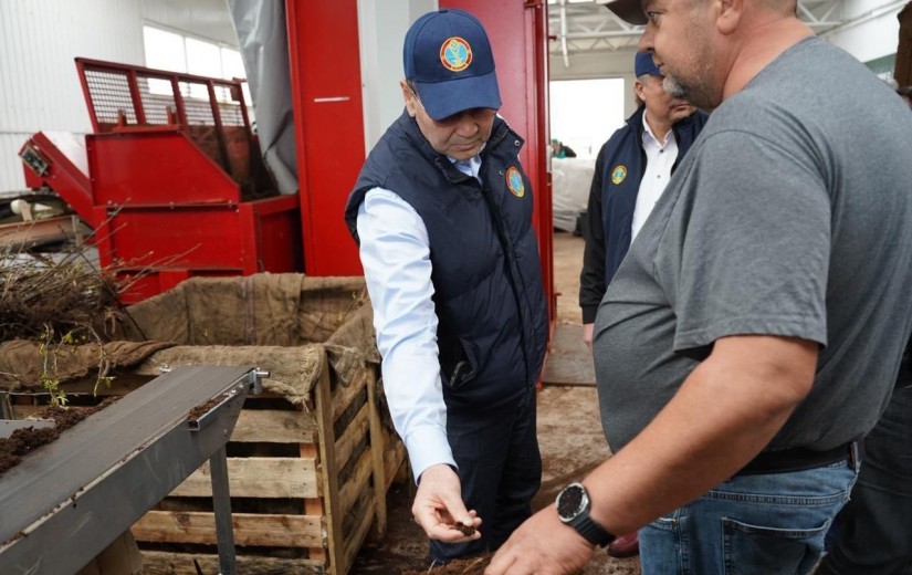 Депутаттар Жібек жолы кентіндегі сәндік өсімдіктер питомнигінің жұмысымен танысты