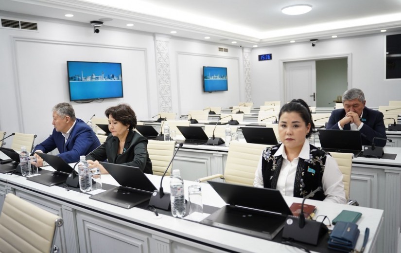 Заседание постоянной комиссии по утверждению дизайн-кода столицы