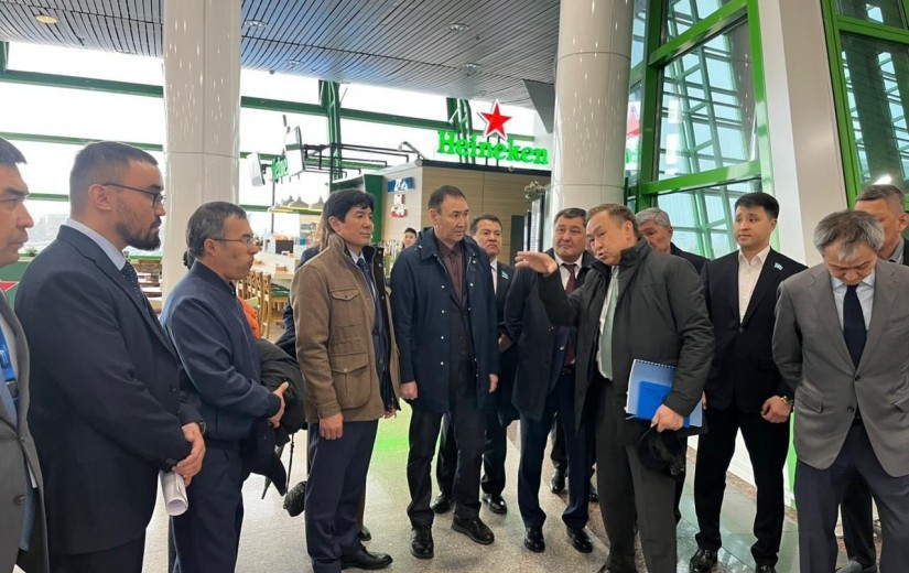 Развитие аэропорта столицы обсудили депутаты