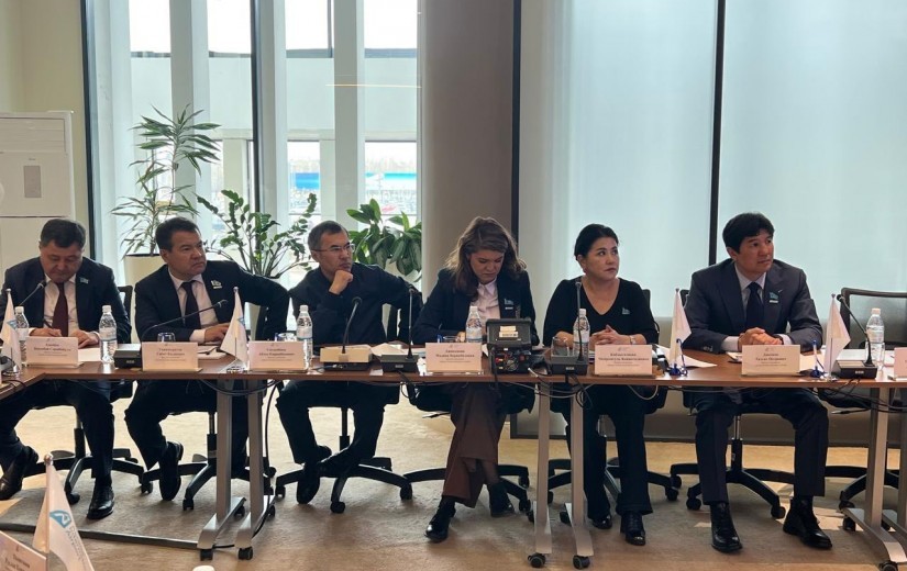 Развитие аэропорта столицы обсудили депутаты