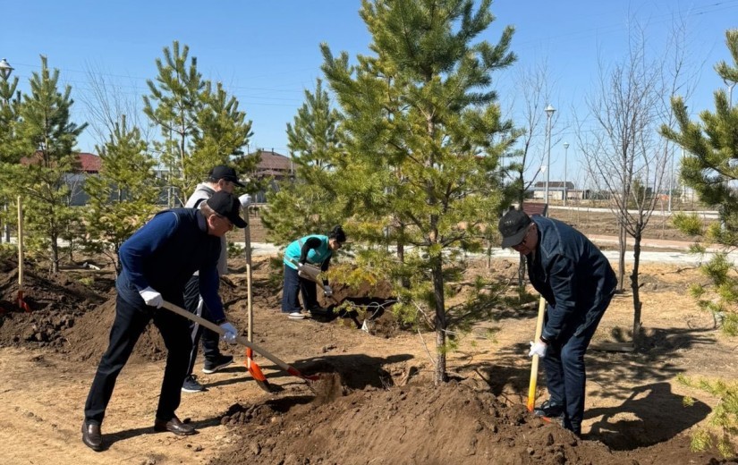 Елорда мәслихатының депутаттары «Таза Қазақстан» жалпыұлттық экологиялық бастамасы аясында қаланы абаттандыру бойынша белсенді жұмыстар жүргізуде